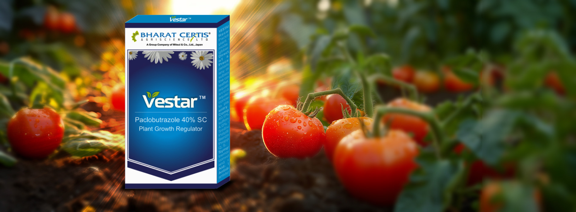 Vestar: Plant Growth Regulator for Fruit and Succulent Plants